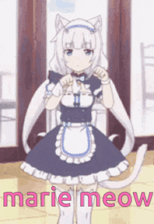 marie meow is the name of the anime girl