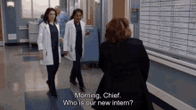 Greys Anatomy Amelia Shepherd GIF - Greys Anatomy Amelia Shepherd Morning Chief GIFs