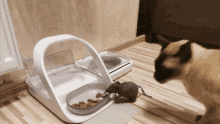 Cat Mouse GIF - Cat Mouse Food GIFs