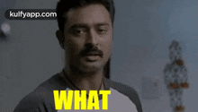 What.Gif GIF - What Asking Confused GIFs