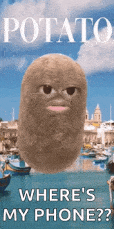 Potato Ugly GIF - Potato Ugly Confused GIFs