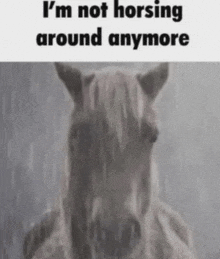 Horse Silly GIF - Horse Silly Discord GIFs