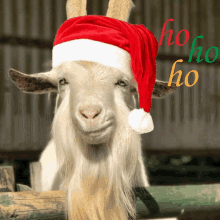 Christmas Goat Hohoho GIF - Christmas Goat Hohoho GIFs