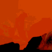 a close up of a person 's face with a red background .
