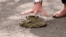 a person 's foot is standing on a pile of poop .