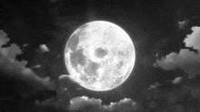 a black and white photo of a full moon rising in a cloudy night sky .