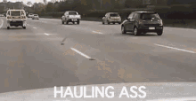 Bird Hauling Ass GIF - Hauling Ass Out Of My Way Get Out Of The Way GIFs