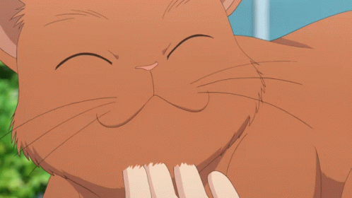 10 Anime and Manga Felines  Needcoffeecom
