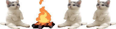 cat-campfire