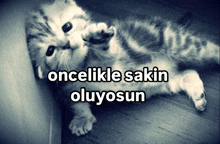 a black and white photo of a kitten with the words " öncelikle sakin oluyosun " below it