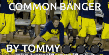 Ncbcatommy Wommy GIF - Ncbcatommy Wommy Tomdog GIFs