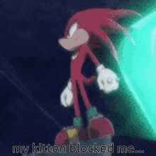 Knuckles Knuckles The Echidna GIF - Knuckles Knuckles The Echidna Sonic X GIFs