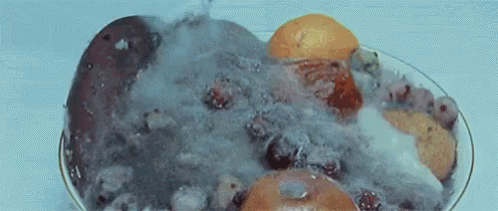 Rotten Moldy Fruits GIF - Rotten Rotting Rotten Fruit - Discover & Share  GIFs