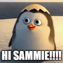 a penguin with a broken egg on its head says hi sammie