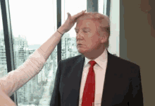 Donald Trump GIF - Donald Trump Hair GIFs