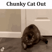 Chunky Cat Out GIF