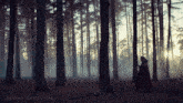 a person walking through a foggy forest with p3ns1v3.tumblr.com written on the bottom right