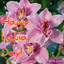 Happy Labia Day GIF - Happy Labia Day GIFs