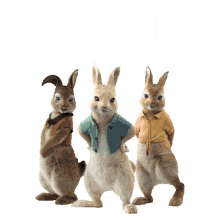 best buds cottontail mopsy flopsy peter rabbit2the runaway