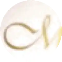 a close up of a letter s on a white surface .