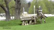 Jumping 4 GIF - Horse Racing Horses GIFs