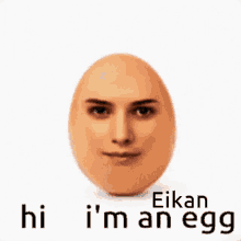 face egg