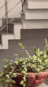 a potted plant sits on a table in front of a staircase