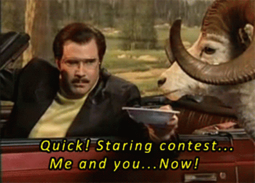 goulet-snl.gif