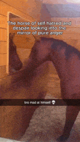 the horse of self hatred and despair looking into the mirror of pure anger is bro mad at himself