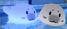 two seals are swimming in a pool and one of them is glowing in the dark