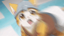 a blurry picture of a cat wearing a helmet with its mouth open