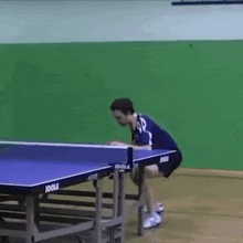 Pingpong Ping-pong GIF - Pingpong Ping-pong Flying Sideways GIFs