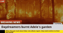 adele fire breaking news daydreamers adkins