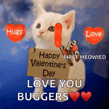 Happy Valentines Valentines Day Kitten GIF