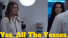 Greys Anatomy Amelia Shepherd GIF - Greys Anatomy Amelia Shepherd Yes All The Yesses GIFs