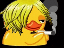 Sanji Duck Smoke One Piece GIF