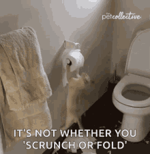 Scrunch Pets GIF - Scrunch Pets Secret Life Of Animal Capers GIFs