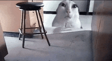 a bar stool is sitting on the floor next to a picture of a cat on the floor .