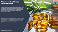 Pharmaceutical Grade Gelatin Market GIF - Pharmaceutical Grade Gelatin Market GIFs