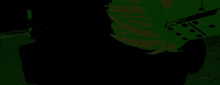a computer generated image of a green , yellow , and red flower .
