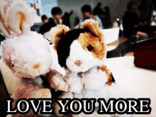 bunny love you more
