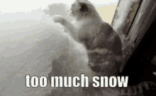 Too Much Snow GIF - Too Much Snow Snow Cat GIFs