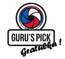 Gpgratulka Gurushots GIF - Gpgratulka Gurushots Team Super GIFs