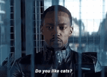 Do You Like Cats Avengers GIF - Do You Like Cats Avengers Cats GIFs