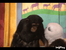 Zoboomafoo Chimp GIF - Zoboomafoo Chimp Chimpanzee GIFs