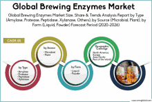 Brewing Enzymes Market GIF