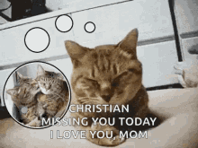 Thinking Missing You GIF - Thinking Missing You Cat GIFs