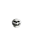 a black and white drawing of a human skull with a white background .