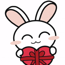 animal bunny rabbit cute present