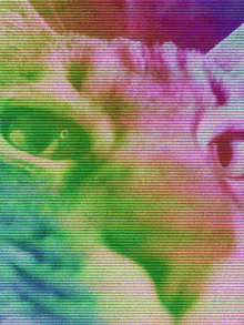Cat Vaporwave GIF - Cat Vaporwave Lev GIFs